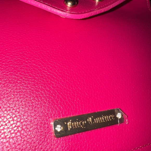 Juicy Couture Clutch w/ added Mini Insert - Picture 4 of 6